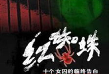 红蜘蛛电视剧,权谋与爱情的纠葛